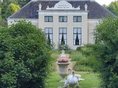 Rensumaborg met jonge zwanen