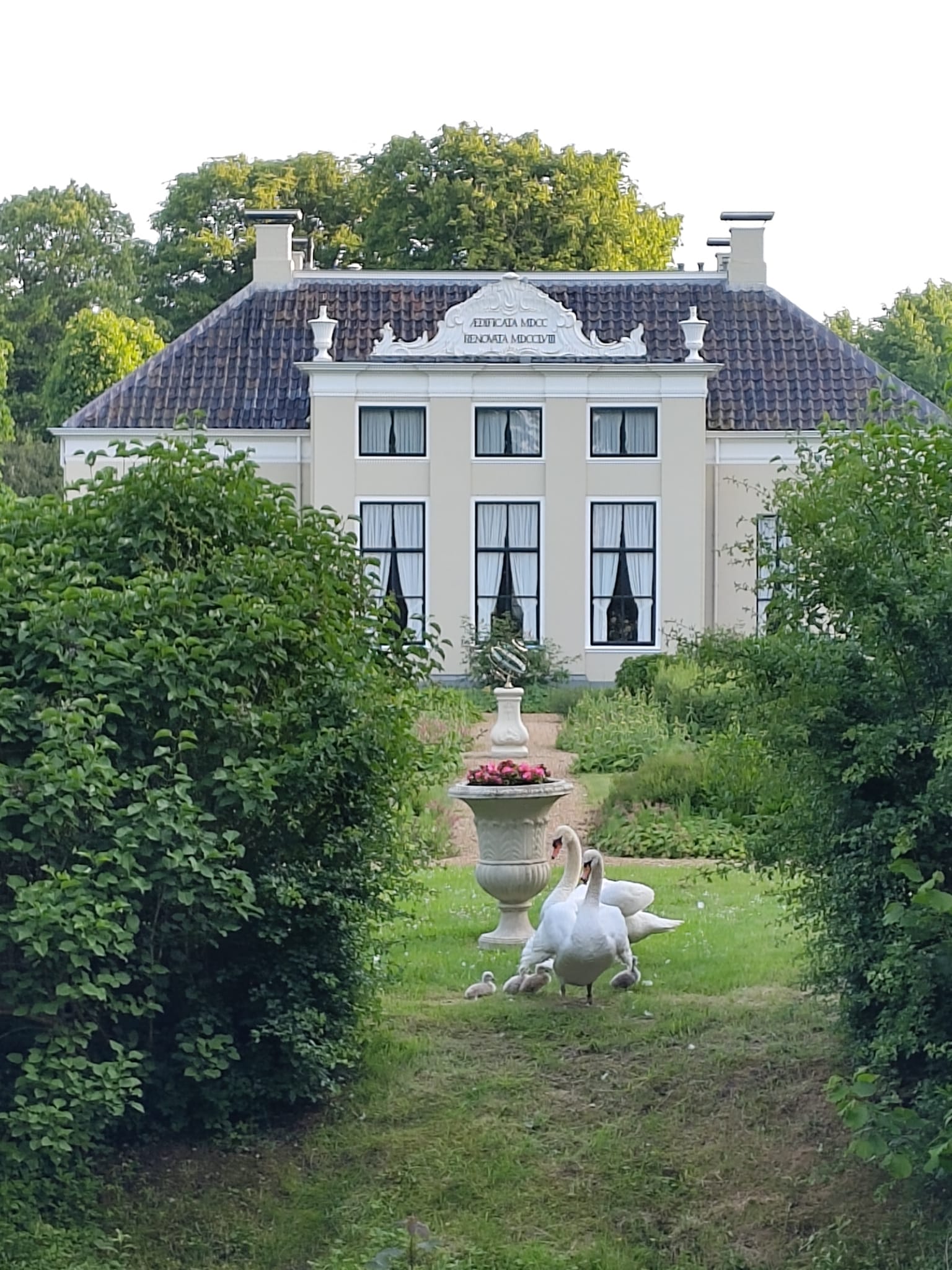 Rensumaborg met jonge zwanen