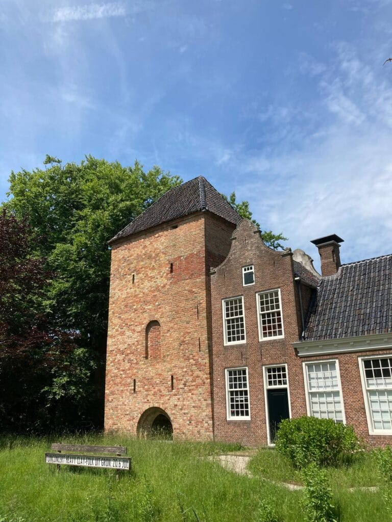 Schierstins (2)